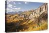 Scenic near Telluride, Uncompahgre National Forest, Colorado-Donyanedomam-Stretched Canvas