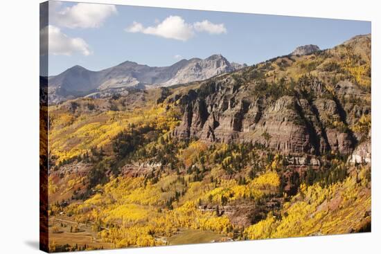 Scenic near Telluride, Uncompahgre National Forest, Colorado-Donyanedomam-Stretched Canvas