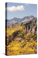 Scenic near Telluride, Uncompahgre National Forest, Colorado-Donyanedomam-Stretched Canvas