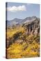 Scenic near Telluride, Uncompahgre National Forest, Colorado-Donyanedomam-Stretched Canvas