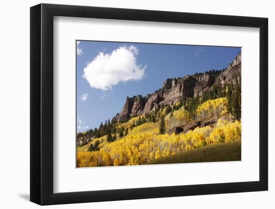 Scenic near Telluride, Uncompahgre National Forest, Colorado-Donyanedomam-Framed Photographic Print