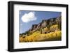 Scenic near Telluride, Uncompahgre National Forest, Colorado-Donyanedomam-Framed Photographic Print