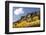 Scenic near Telluride, Uncompahgre National Forest, Colorado-Donyanedomam-Framed Photographic Print