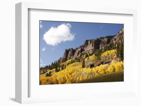 Scenic near Telluride, Uncompahgre National Forest, Colorado-Donyanedomam-Framed Photographic Print