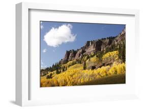 Scenic near Telluride, Uncompahgre National Forest, Colorado-Donyanedomam-Framed Photographic Print