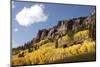 Scenic near Telluride, Uncompahgre National Forest, Colorado-Donyanedomam-Mounted Photographic Print