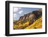 Scenic near Telluride, Uncompahgre National Forest, Colorado-Donyanedomam-Framed Photographic Print