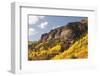 Scenic near Telluride, Uncompahgre National Forest, Colorado-Donyanedomam-Framed Photographic Print