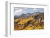 Scenic near Telluride, Uncompahgre National Forest, Colorado-Donyanedomam-Framed Photographic Print