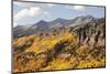 Scenic near Telluride, Uncompahgre National Forest, Colorado-Donyanedomam-Mounted Photographic Print