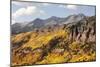 Scenic near Telluride, Uncompahgre National Forest, Colorado-Donyanedomam-Mounted Photographic Print