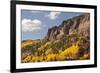 Scenic near Telluride, Uncompahgre National Forest, Colorado-Donyanedomam-Framed Photographic Print