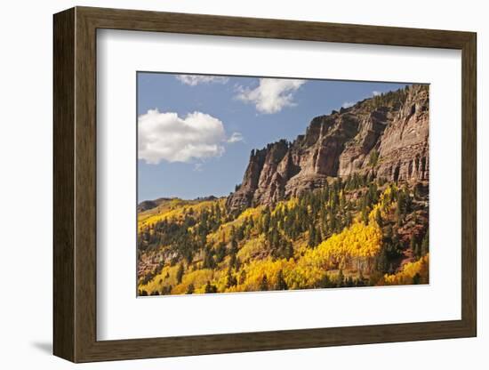 Scenic near Telluride, Uncompahgre National Forest, Colorado-Donyanedomam-Framed Photographic Print