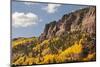 Scenic near Telluride, Uncompahgre National Forest, Colorado-Donyanedomam-Mounted Photographic Print