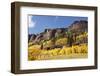 Scenic near Telluride, Uncompahgre National Forest, Colorado-Donyanedomam-Framed Photographic Print