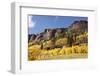 Scenic near Telluride, Uncompahgre National Forest, Colorado-Donyanedomam-Framed Photographic Print