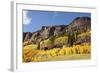 Scenic near Telluride, Uncompahgre National Forest, Colorado-Donyanedomam-Framed Photographic Print