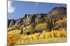 Scenic near Telluride, Uncompahgre National Forest, Colorado-Donyanedomam-Mounted Photographic Print