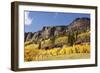 Scenic near Telluride, Uncompahgre National Forest, Colorado-Donyanedomam-Framed Photographic Print