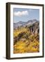 Scenic near Telluride, Uncompahgre National Forest, Colorado-Donyanedomam-Framed Photographic Print