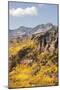 Scenic near Telluride, Uncompahgre National Forest, Colorado-Donyanedomam-Mounted Photographic Print