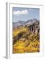 Scenic near Telluride, Uncompahgre National Forest, Colorado-Donyanedomam-Framed Photographic Print