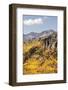Scenic near Telluride, Uncompahgre National Forest, Colorado-Donyanedomam-Framed Photographic Print