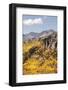 Scenic near Telluride, Uncompahgre National Forest, Colorado-Donyanedomam-Framed Photographic Print