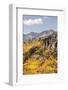 Scenic near Telluride, Uncompahgre National Forest, Colorado-Donyanedomam-Framed Photographic Print