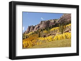 Scenic near Telluride, Uncompahgre National Forest, Colorado-Donyanedomam-Framed Photographic Print