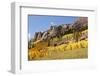 Scenic near Telluride, Uncompahgre National Forest, Colorado-Donyanedomam-Framed Photographic Print