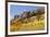 Scenic near Telluride, Uncompahgre National Forest, Colorado-Donyanedomam-Framed Photographic Print