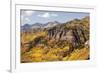 Scenic near Telluride, Uncompahgre National Forest, Colorado-Donyanedomam-Framed Photographic Print