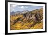 Scenic near Telluride, Uncompahgre National Forest, Colorado-Donyanedomam-Framed Photographic Print