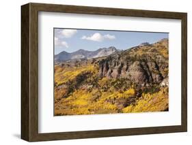 Scenic near Telluride, Uncompahgre National Forest, Colorado-Donyanedomam-Framed Photographic Print