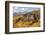 Scenic near Telluride, Uncompahgre National Forest, Colorado-Donyanedomam-Framed Photographic Print