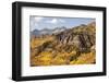 Scenic near Telluride, Uncompahgre National Forest, Colorado-Donyanedomam-Framed Photographic Print