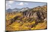 Scenic near Telluride, Uncompahgre National Forest, Colorado-Donyanedomam-Mounted Photographic Print