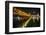 Scenic Night View of the Chapel Bridge, Lucerne-George Oze-Framed Photographic Print