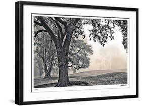 Scenic Oak-Donald Satterlee-Framed Giclee Print