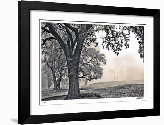 Scenic Oak-Donald Satterlee-Framed Giclee Print