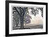 Scenic Oak-Donald Satterlee-Framed Giclee Print