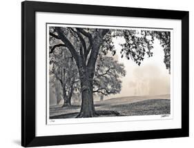 Scenic Oak-Donald Satterlee-Framed Giclee Print