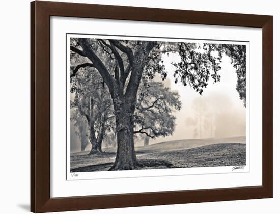 Scenic Oak-Donald Satterlee-Framed Giclee Print