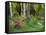 Scenic of Forest and Garden, Canada-Ellen Anon-Framed Stretched Canvas