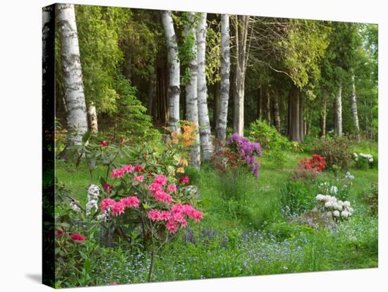 Scenic of Forest and Garden, Canada-Ellen Anon-Stretched Canvas
