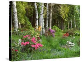 Scenic of Forest and Garden, Canada-Ellen Anon-Stretched Canvas