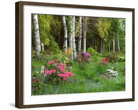 Scenic of Forest and Garden, Canada-Ellen Anon-Framed Photographic Print