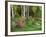 Scenic of Forest and Garden, Canada-Ellen Anon-Framed Photographic Print