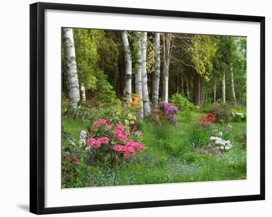 Scenic of Forest and Garden, Canada-Ellen Anon-Framed Photographic Print